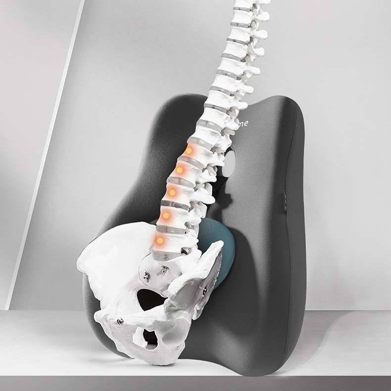 Coussin de soutien dorsal